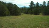 20 Colorado Mountain Lake Est. - Photo 30