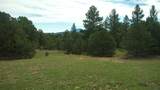 20 Colorado Mountain Lake Est. - Photo 31