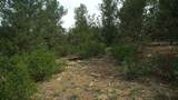 20 Colorado Mountain Lake Est. - Photo 33