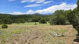 20 Colorado Mountain Lake Est. - Photo 4