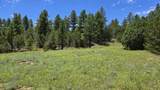 20 Colorado Mountain Lake Est. - Photo 8