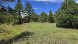 20 Colorado Mountain Lake Est. - Photo 9