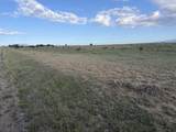 Lot 190 Black Hills - Photo 23