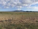 Lot 190 Black Hills - Photo 6