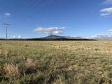 Lot 190 Black Hills - Photo 9