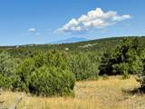 TBD Silver Spurs Ranch #5 - Photo 1