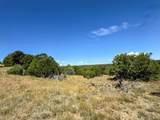 TBD Silver Spurs Ranch #5 - Photo 6