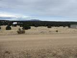 lot 78 Navajo Ranch Resorts - Photo 15