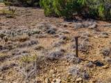 Tbd(multi) Black Diamond Park - Photo 13