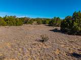 Tbd(multi) Black Diamond Park - Photo 14