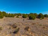 Tbd(multi) Black Diamond Park - Photo 18