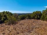 Tbd(multi) Black Diamond Park - Photo 22