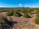 Tbd(multi) Black Diamond Park - Photo 23