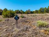 Tbd(multi) Black Diamond Park - Photo 5