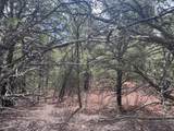 7662 Pass Creek Ct - Photo 2
