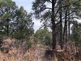 7662 Pass Creek Ct - Photo 4