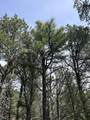 7662 Pass Creek Ct - Photo 8