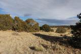  Rio Cucharas - Photo 15