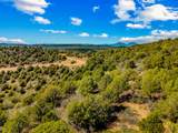17000 County Rd 69.8 - Photo 19