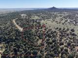 TBD Los Vaqueros Circle - Photo 5
