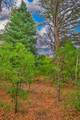 20014 Whiskey Canyon Drive - Photo 4