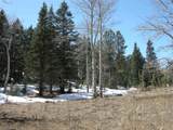 20014 Whiskey Canyon Drive - Photo 5