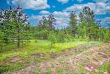 20014 Whiskey Canyon Drive - Photo 8