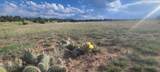 Lot 47 Greenhorn Village Tr #1 - Photo 1