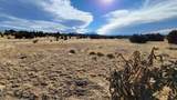 Lot 47 Greenhorn Village Tr #1 - Photo 10