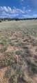 Lot 47 Greenhorn Village Tr #1 - Photo 8