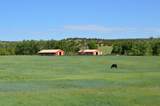 6053 Muddy Creek Rd - Photo 2