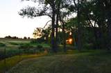 6053 Muddy Creek Rd - Photo 50