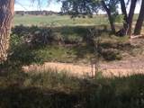 6053 Muddy Creek Rd - Photo 51