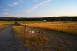 6053 Muddy Creek Rd - Photo 52