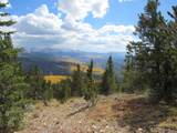 6554 Giesse Rd - Photo 34