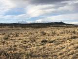 1 Highway 69/Indian Pool Ranch - Photo 13