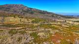 Lot 35 Tres Valles - Photo 12