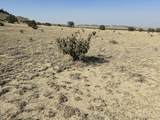 TBD 40AC Las Animas Ranch - Photo 12