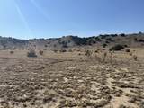 TBD 40AC Las Animas Ranch - Photo 13