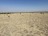 TBD 40AC Las Animas Ranch - Photo 5