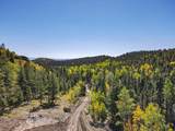 000 County Rd 46 - Photo 21