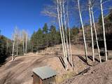 000 County Rd 46 - Photo 23
