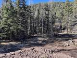 000 County Rd 46 - Photo 28