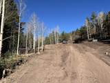 000 County Rd 46 - Photo 29