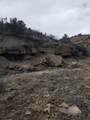 TBD San Juan Mesa Dr - Photo 15