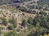 TBD San Juan Mesa Dr - Photo 8
