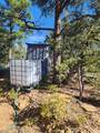 31420 Timber Canyon Rd - Photo 3