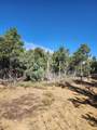 31420 Timber Canyon Rd - Photo 4