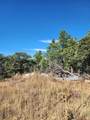 31420 Timber Canyon Rd - Photo 5