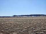 Lot TBD Rural Las Animas County - Photo 11